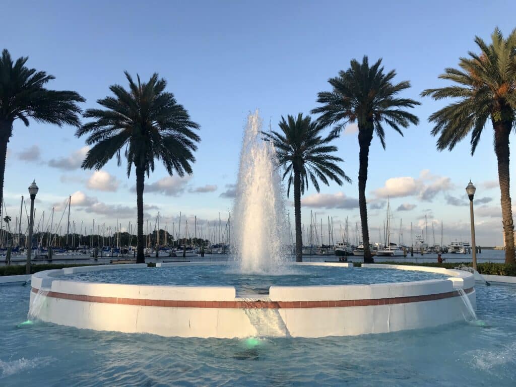 USF Photo scaled