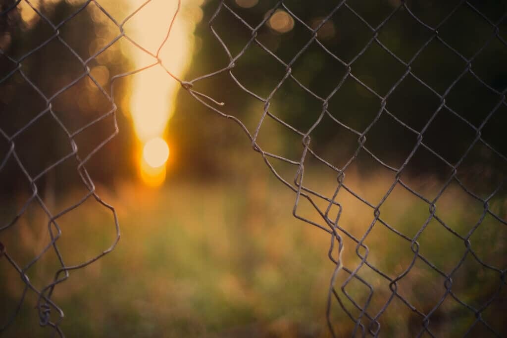 gray wire fence stockpack pexels scaled